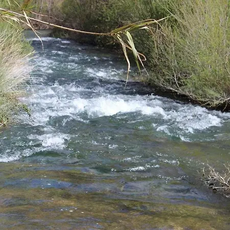 El Americano Y Disfruta De Lo Natural * Albentosa
