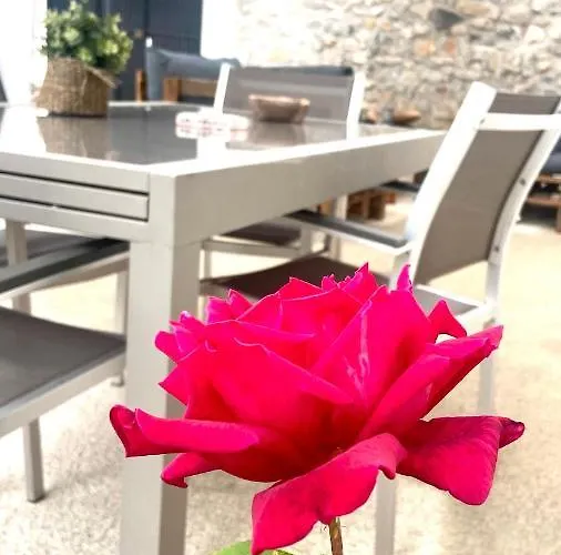 El Americano Y Disfruta De Lo Natural * Albentosa